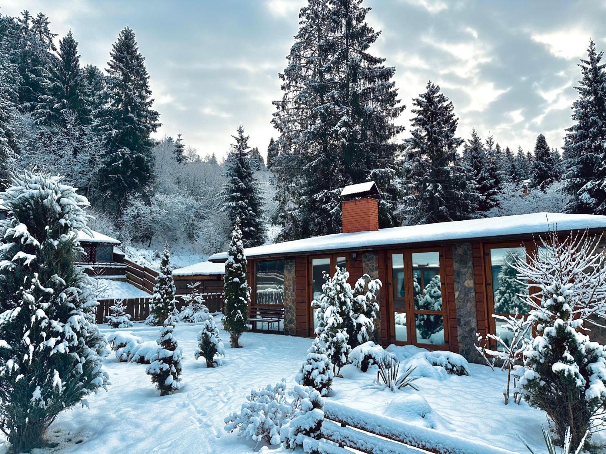 Chalet Filvarok Slavske Ngoại thất bức ảnh